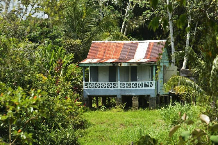 corrugated roof house in Jamaica